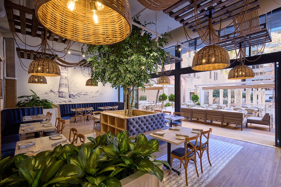 the hampton social dallas main dining room rattan lights whitewashed oak wood chairs blue accents tables indoor plants tree