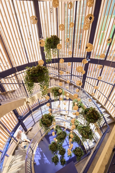 the hampton social dallas coastal atrium installation hanging plants spiral staircase