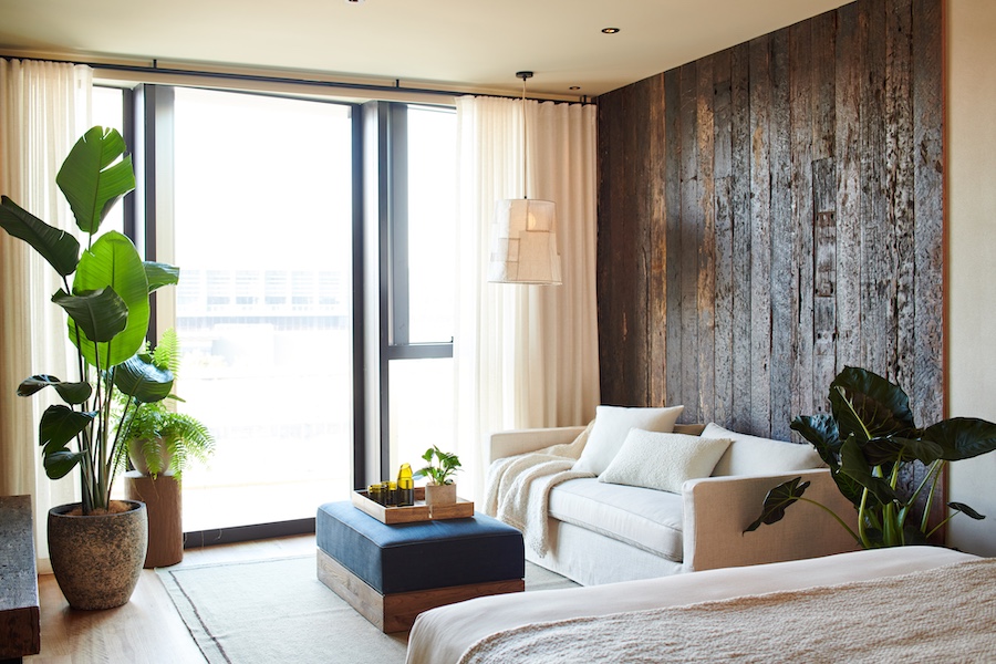 1 Hotel Melbourne River Reserve King raw wood wall accent potted plants white sofa