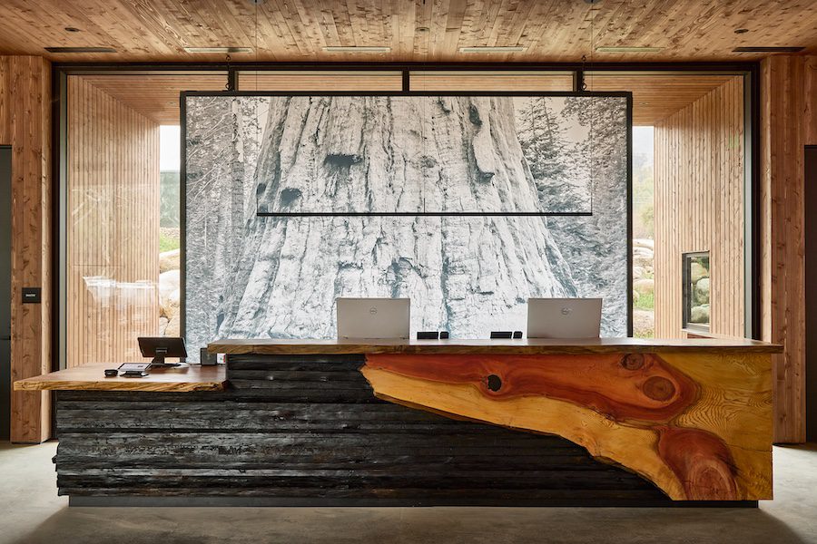 AutoCamp Sequoia Clubhouse Interior reception desk raw live edge wood stained black