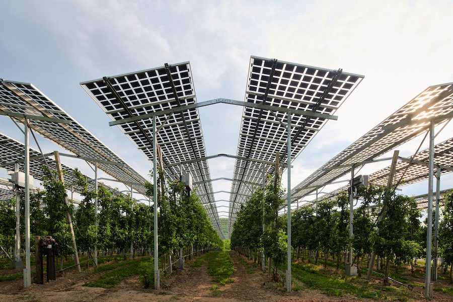 An agrivoltaic system built over apple trees on the Bernhard fruit farm in Kressbronn, Germany