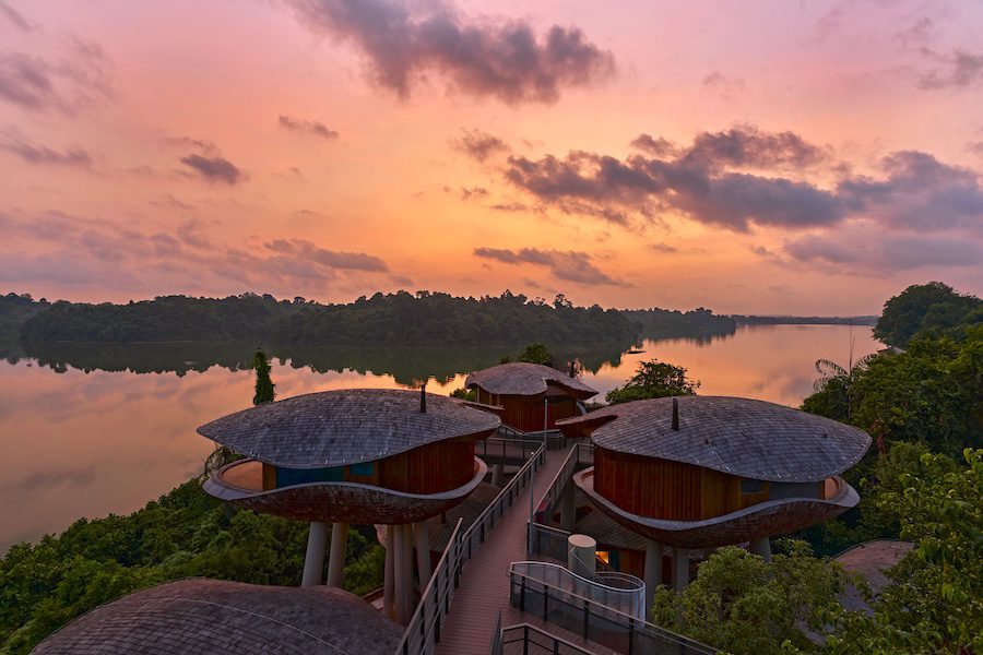 Mandai Rainforest Resort by Banyan Tree, Singapore banyan group expansion floating treehouses